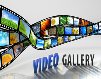 media video gallery birla open minds international school muzaffarpur bihar
